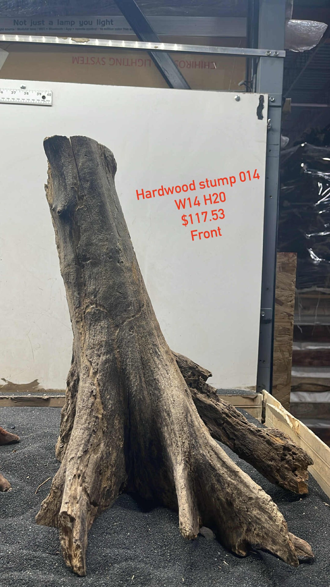 Hardwood Stump 014