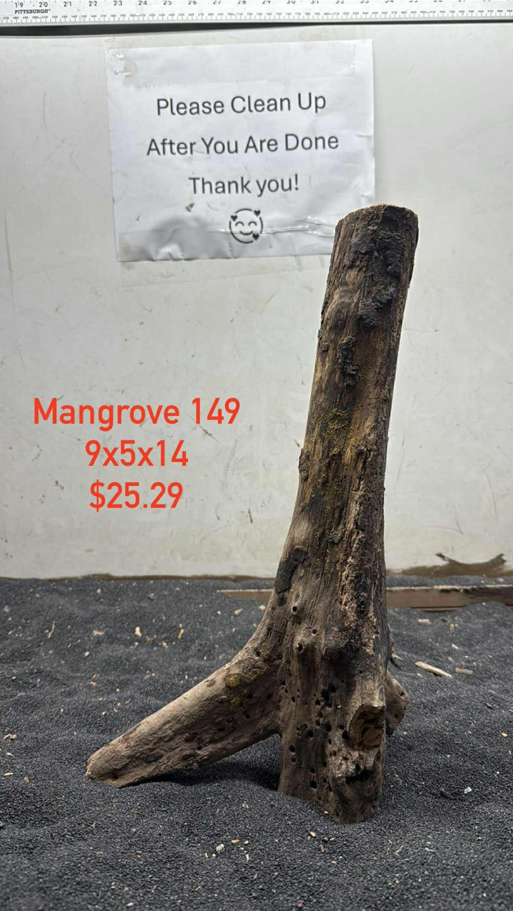 Mangrove Tree Stump 149