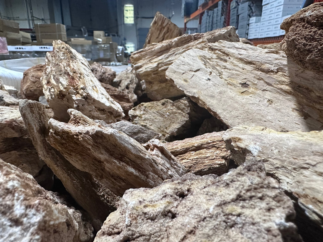 Red Wood Fossil Stone