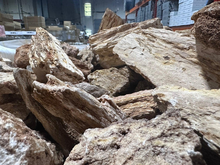Red Wood Fossil Stone