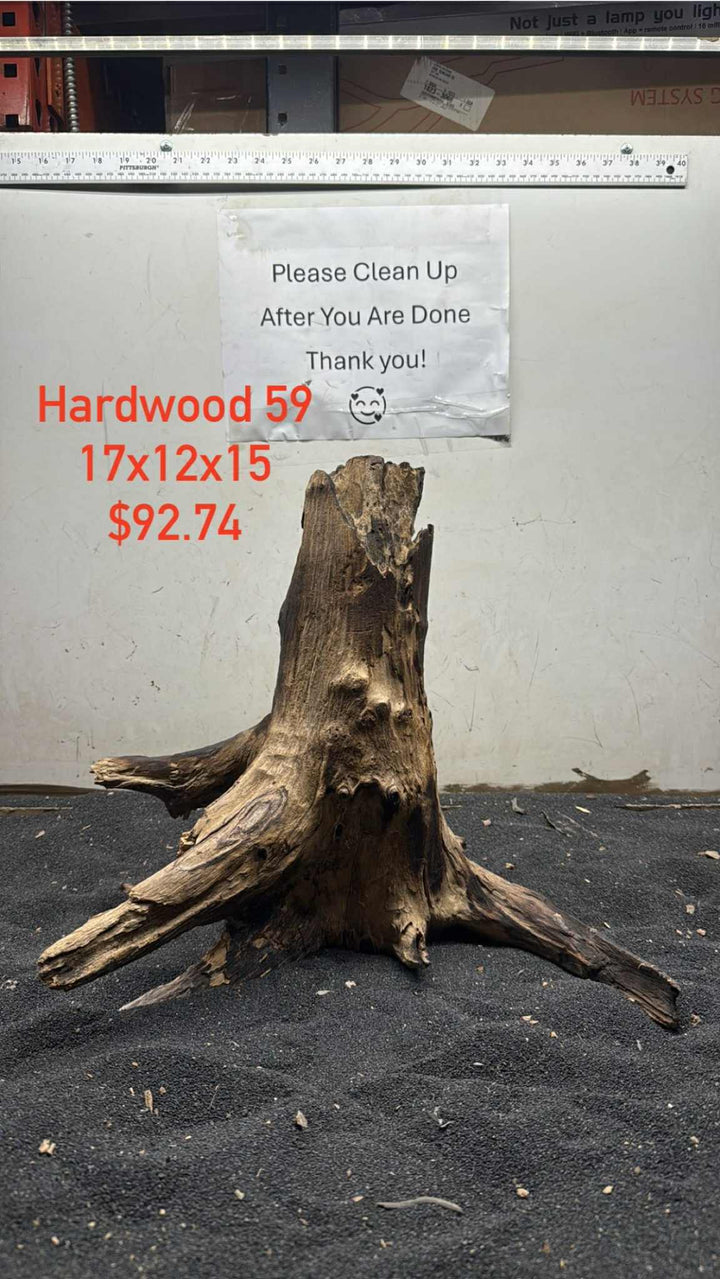 Hardwood Stump 059