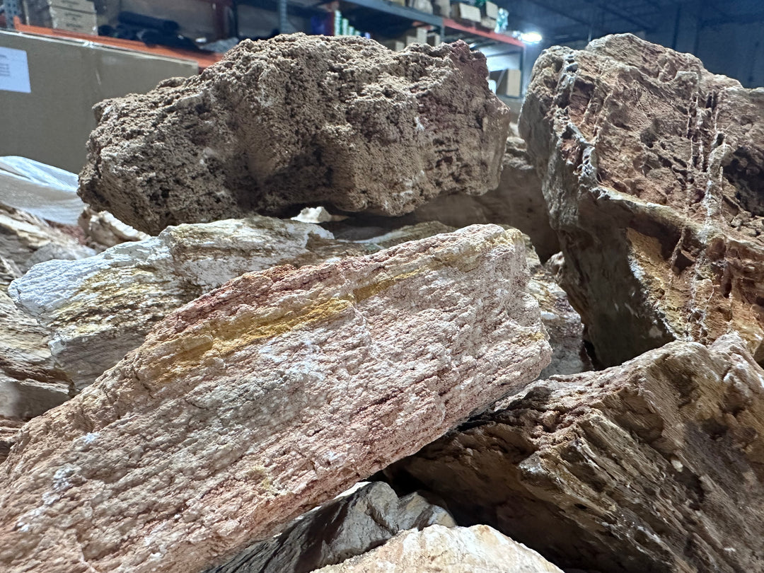 Red Wood Fossil Stone