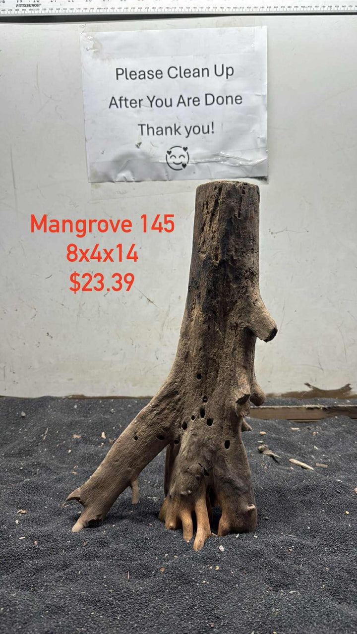 Mangrove Tree Stump 145