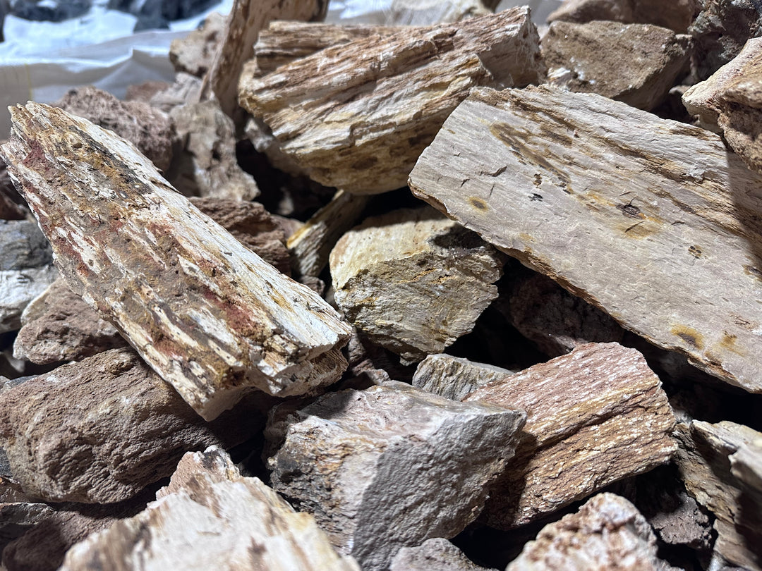 Red Wood Fossil Stone