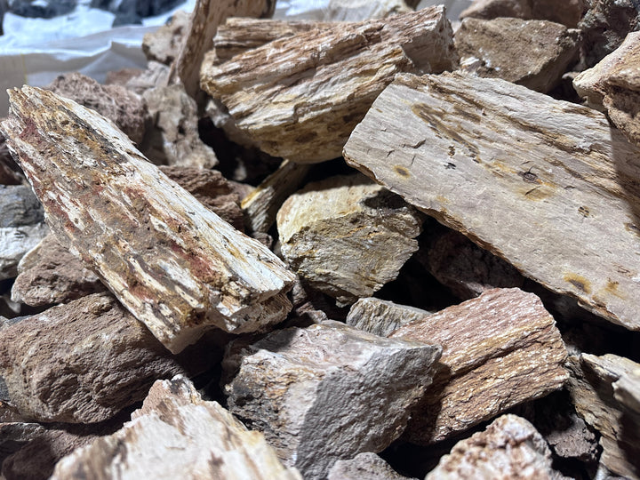 Red Wood Fossil Stone