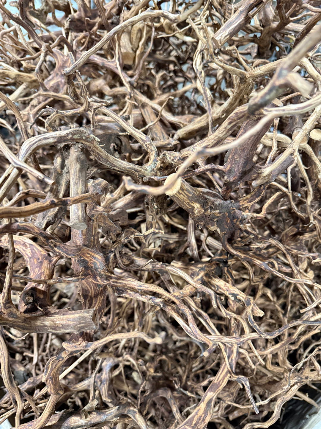 Presoak Brown Spiderwood Pack of 5