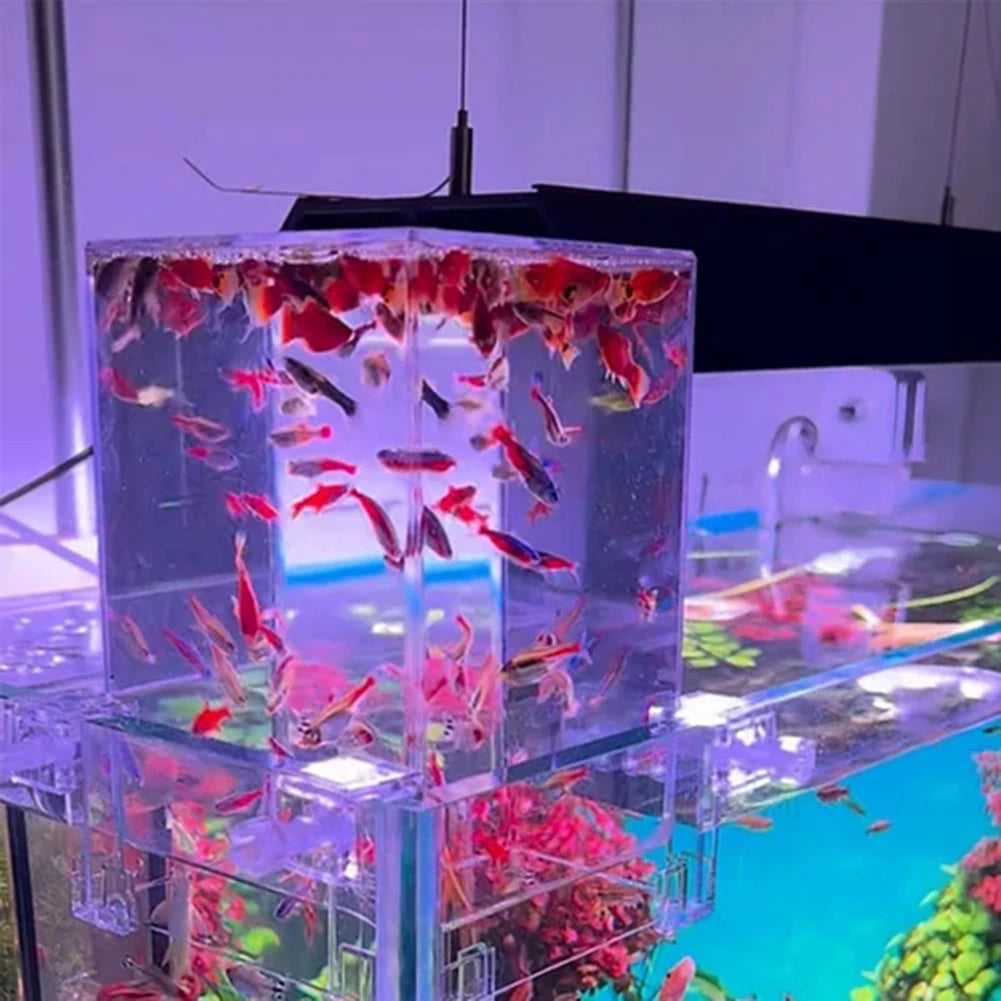 Aquarium Extender