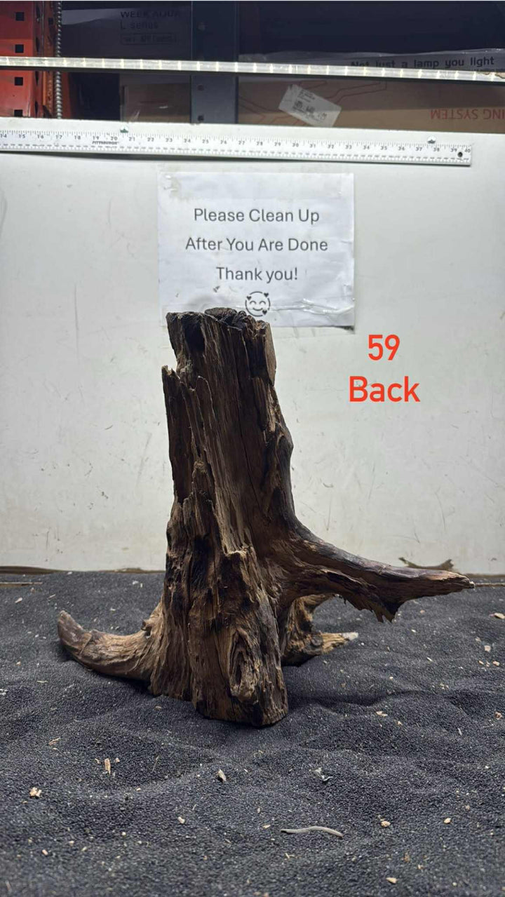 Hardwood Stump 059