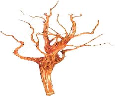 Brown Driftwood - PreSoaked