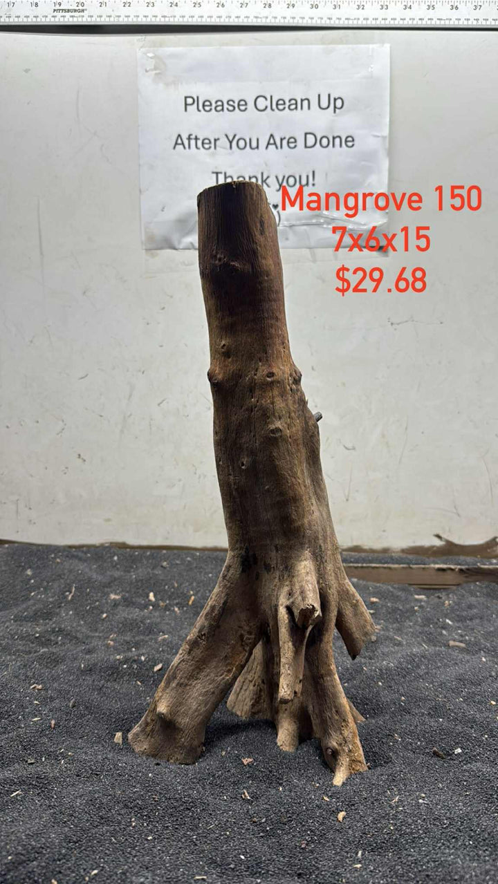 Mangrove Tree Stump 150