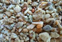 Crushed Coral in Mesh Bag (2-6cm)