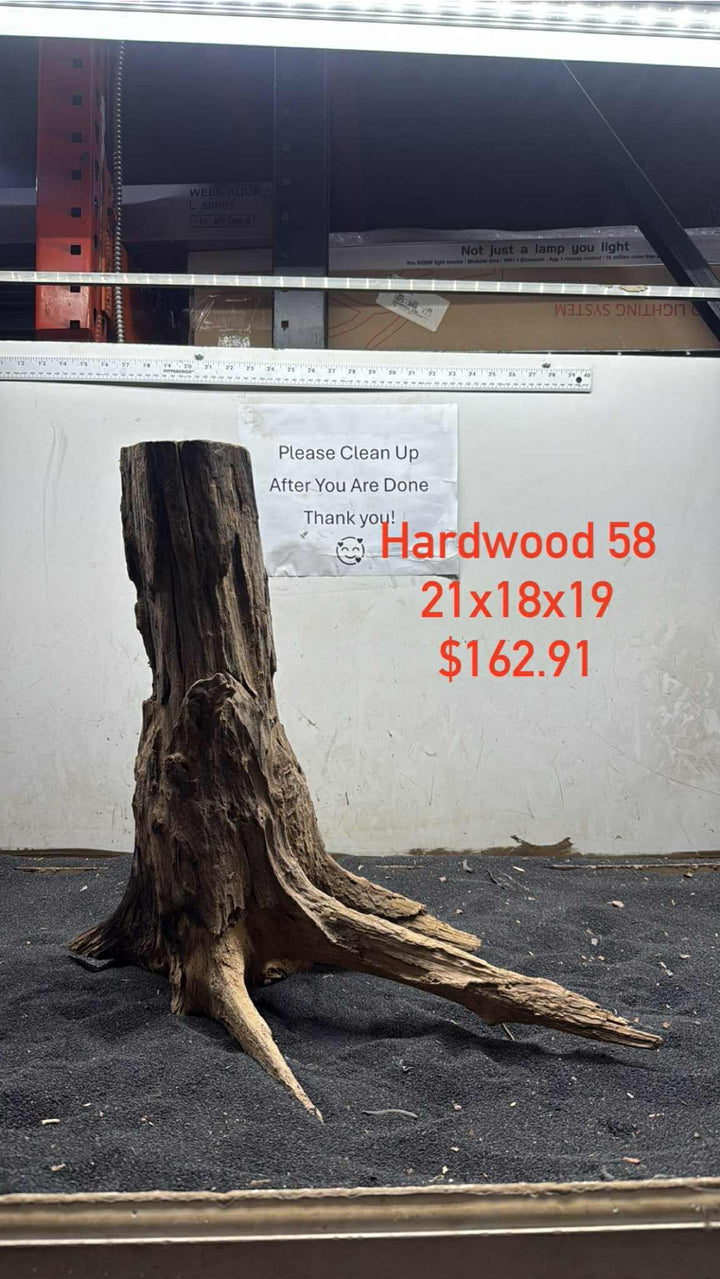 Hardwood Stump 058
