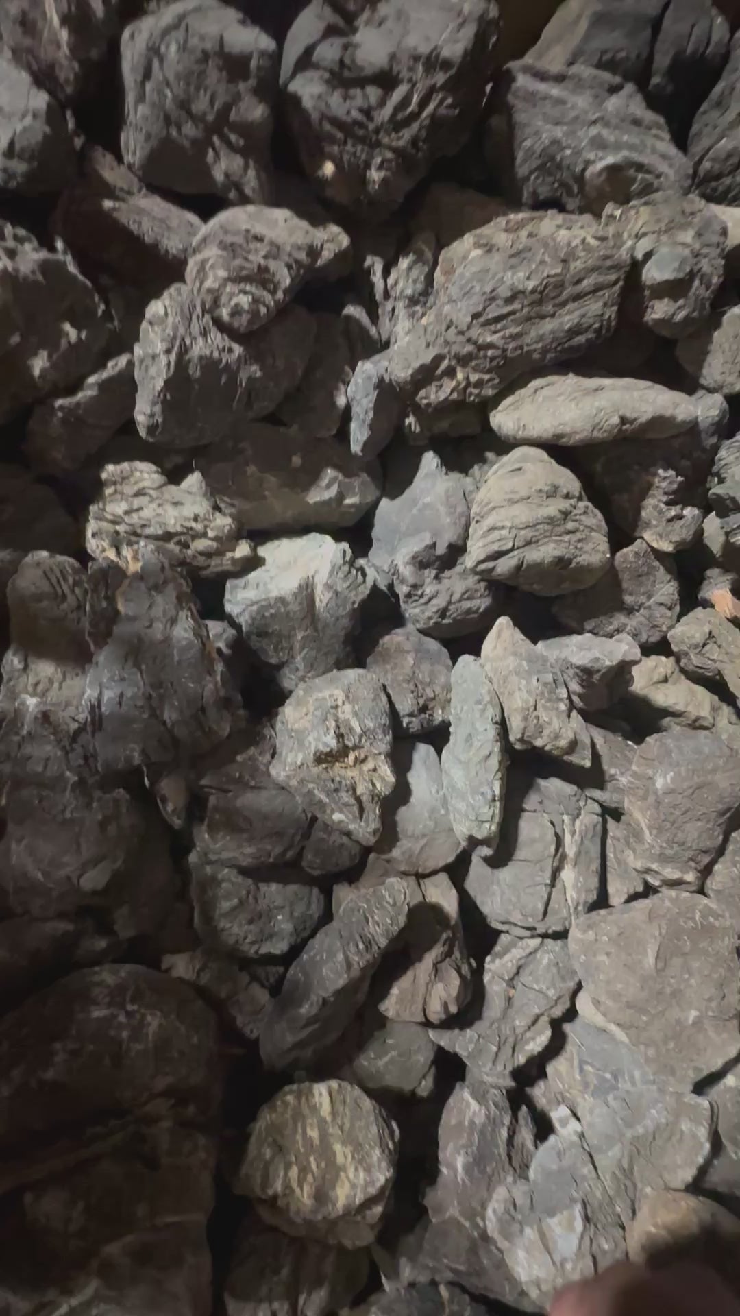 Turly Stone Aquascaping Rocks from Indonesia