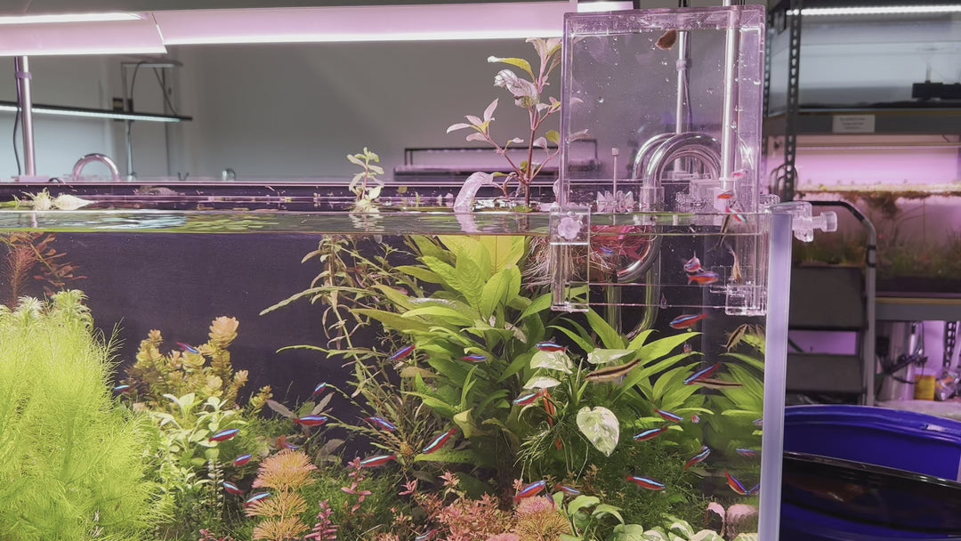 Aquarium Extender