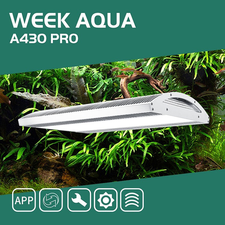 Week Aqua Ark A430 PRO 3.0 – Aqua Rocks Colorado