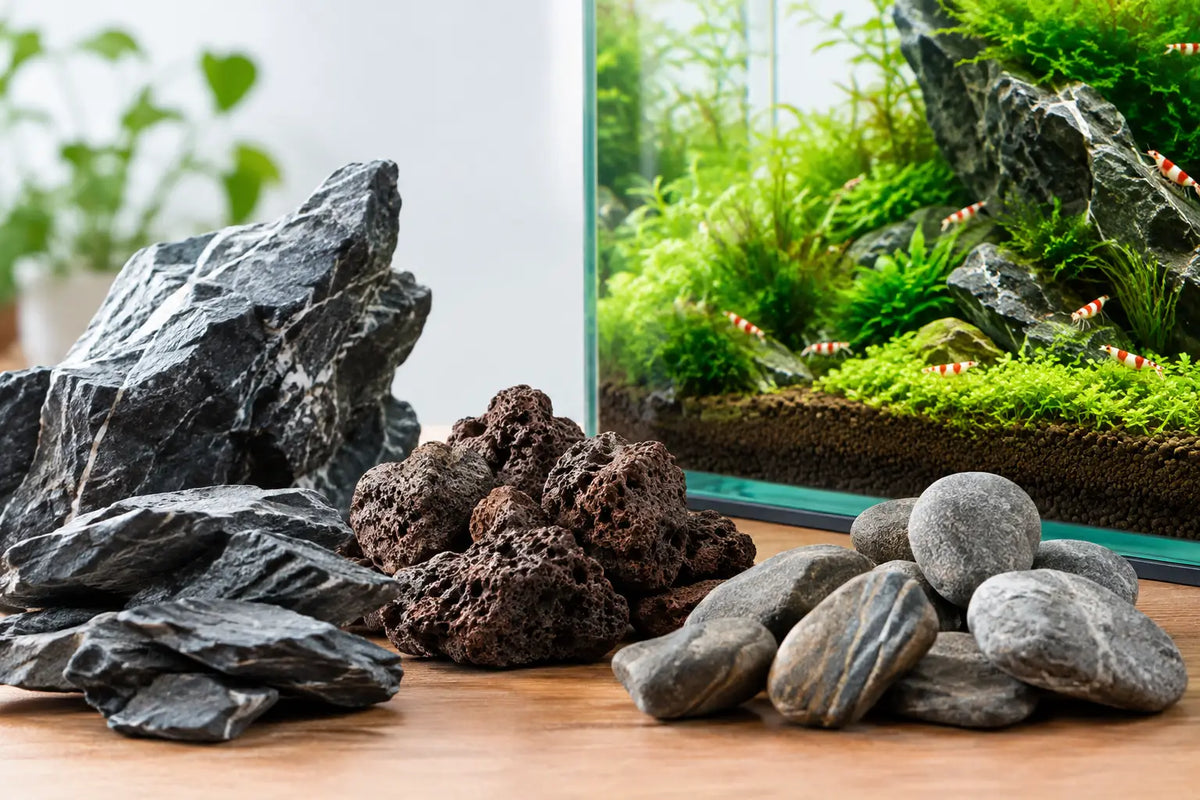 Choosing Stones for Shrimp Tank Aquascapes
