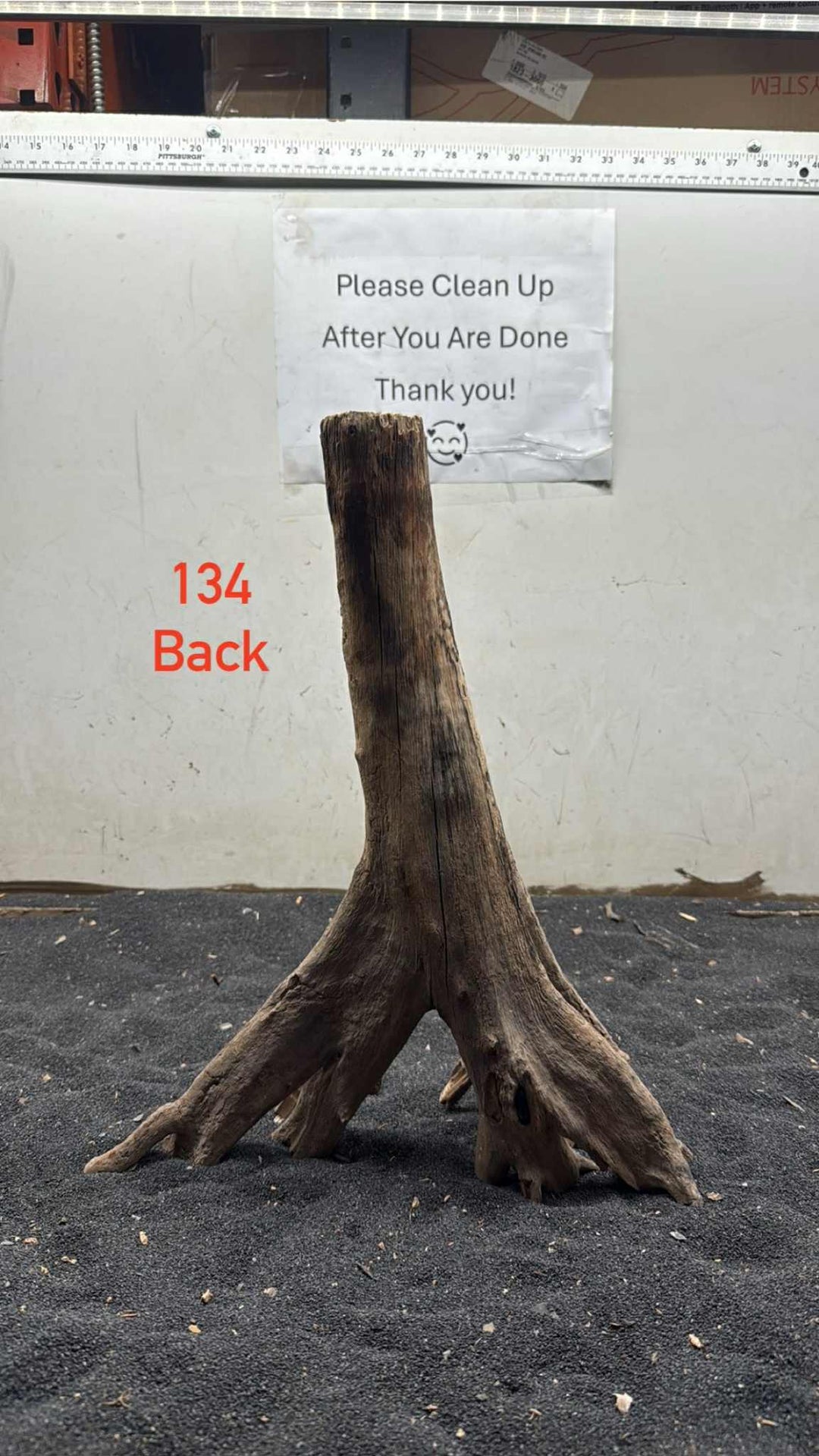 Mangrove Tree Stump 134