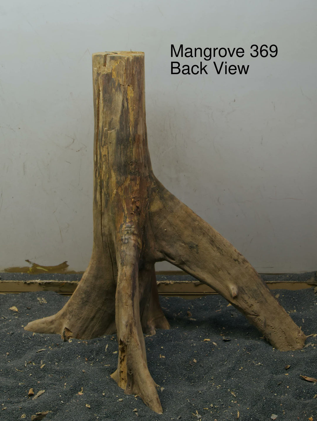 Mangrove Tree Stump 369