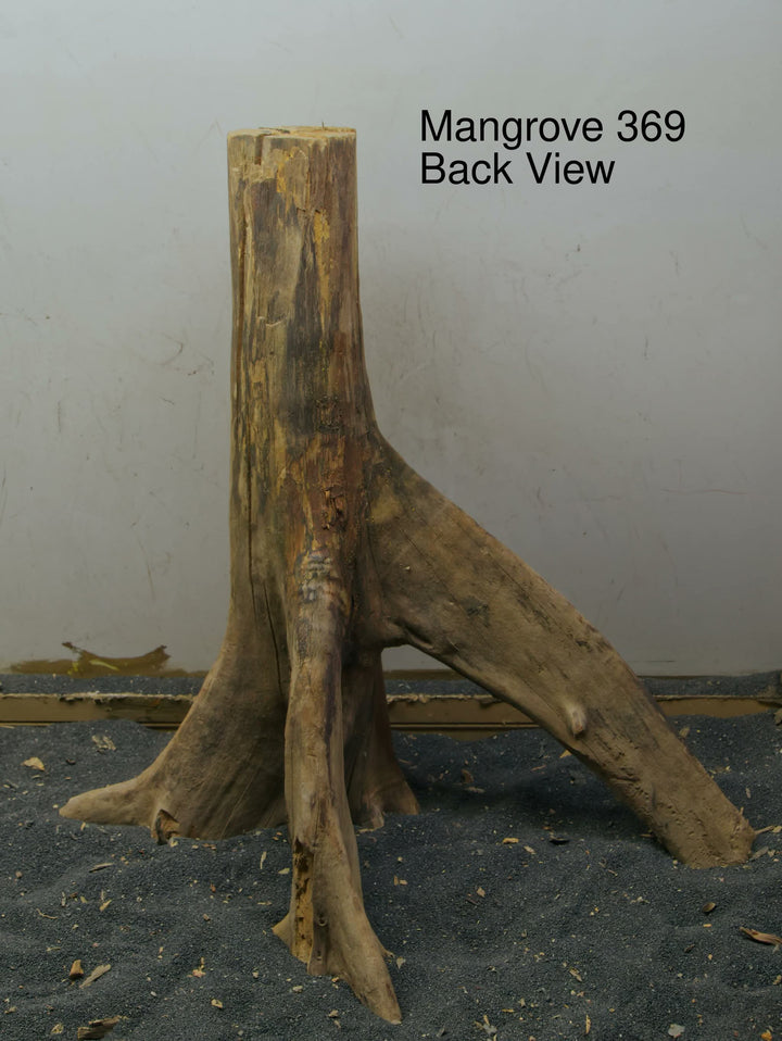 Mangrove Tree Stump 369