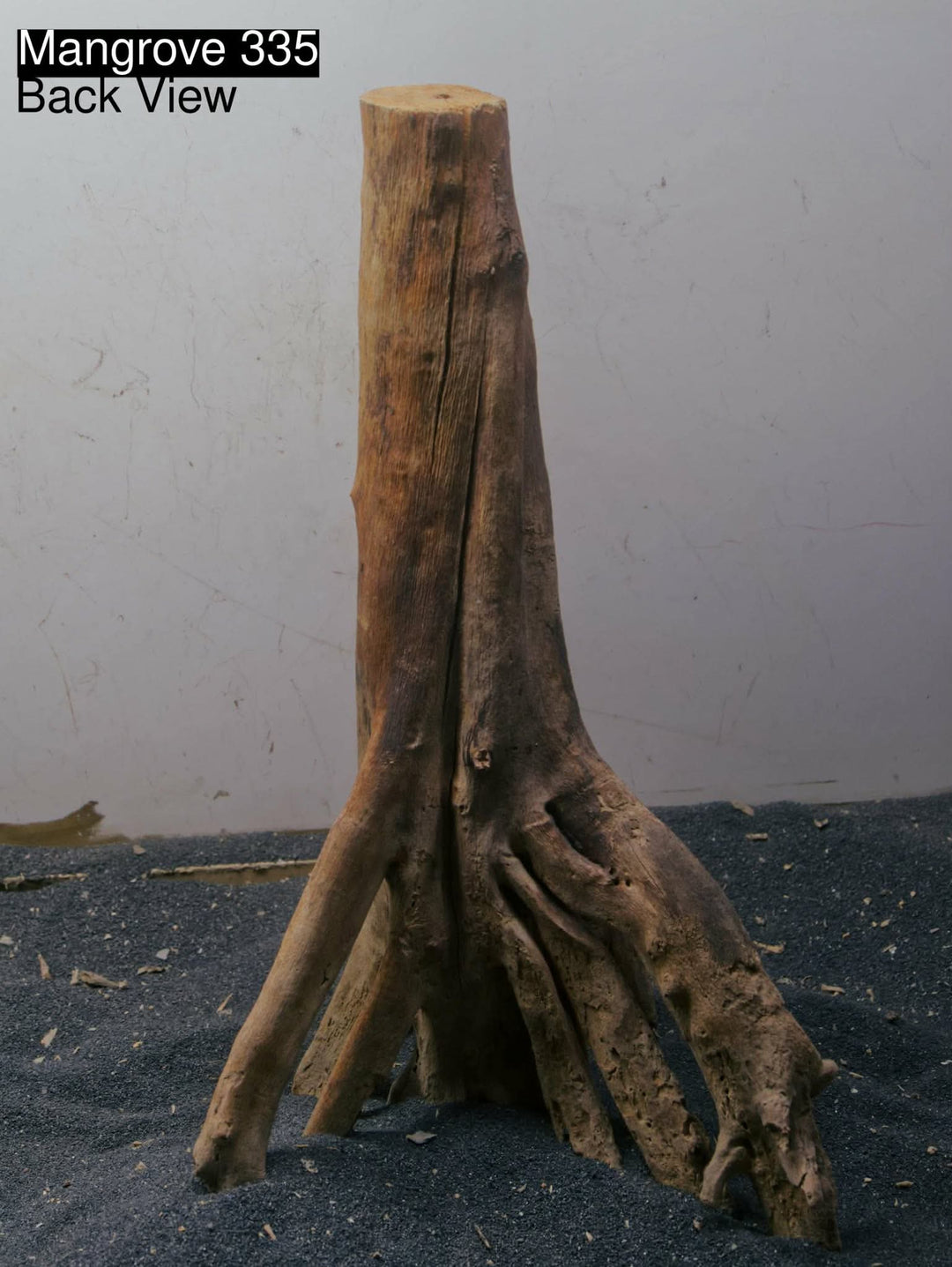 Mangrove Tree Stump 335