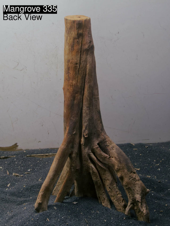 Mangrove Tree Stump 335