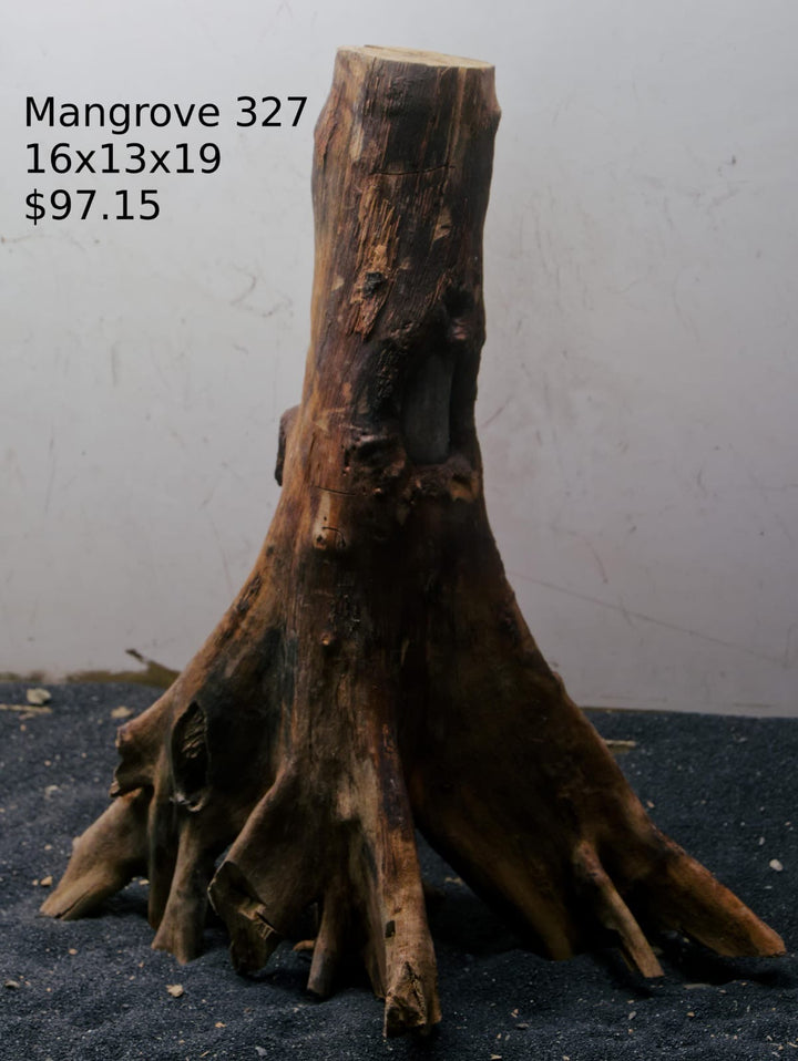 Mangrove Tree Stump 327