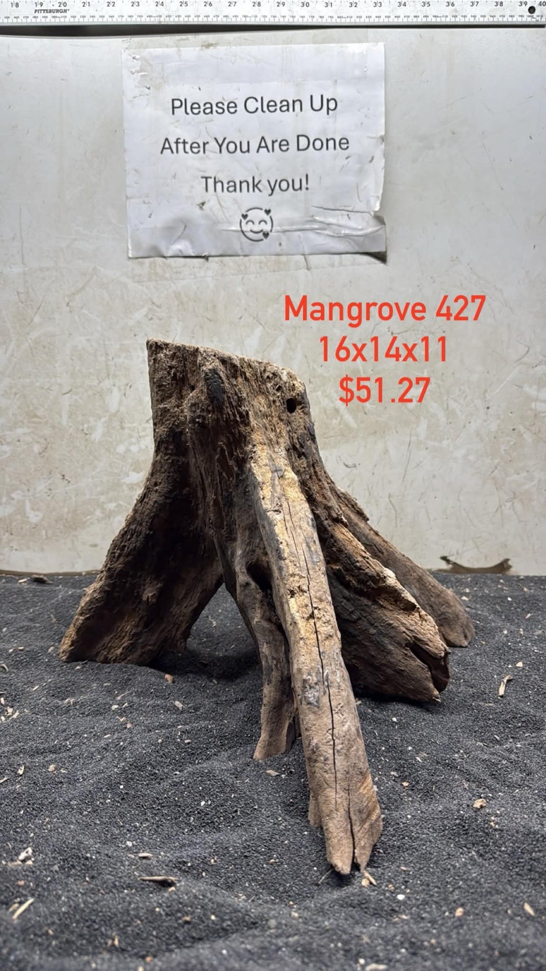 Mangrove Tree Stump 427