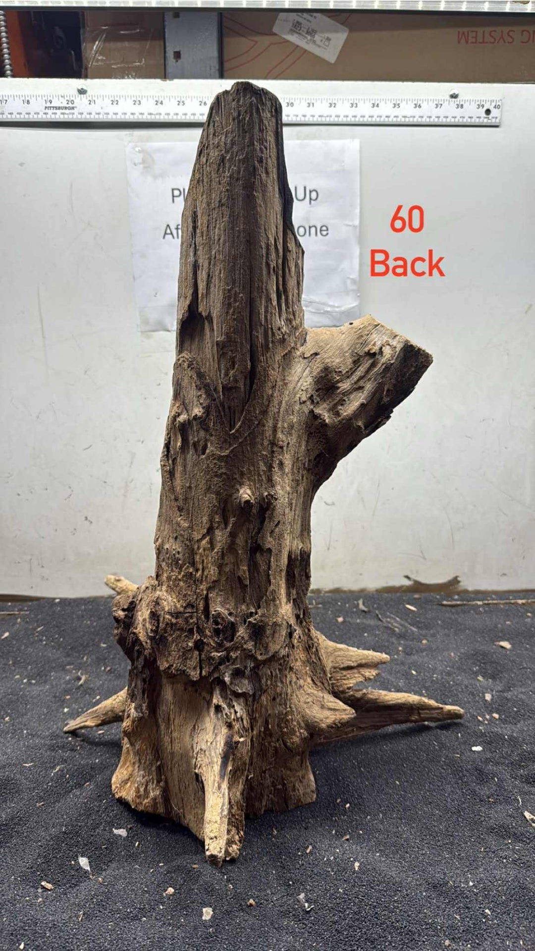 Hardwood Stump 060