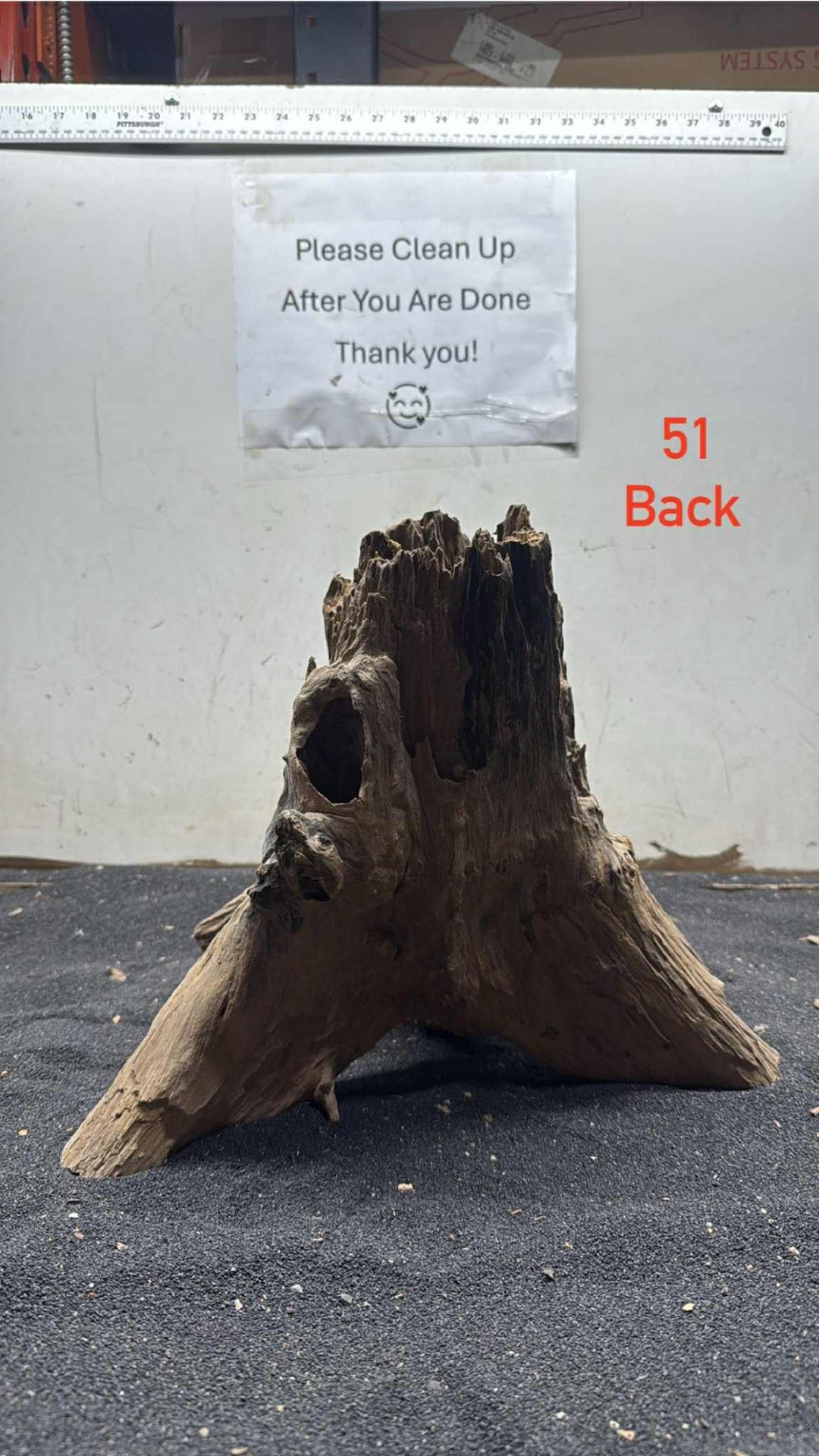 Hardwood Stump 051