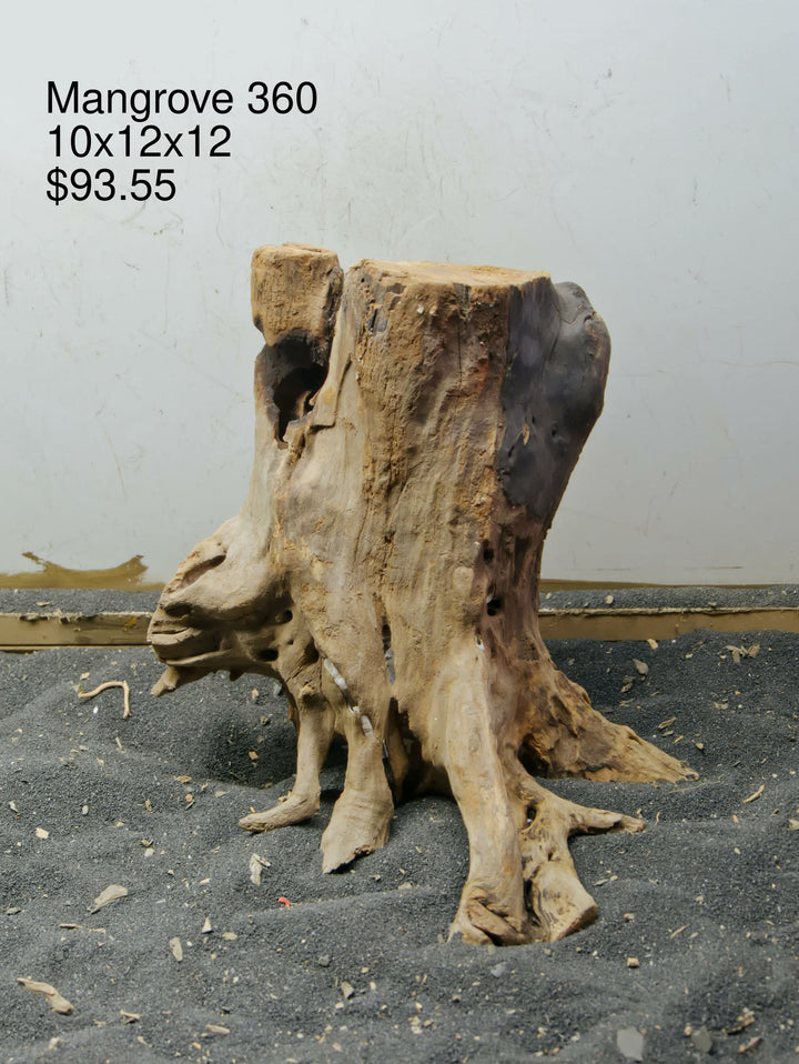 Mangrove Tree Stump 360
