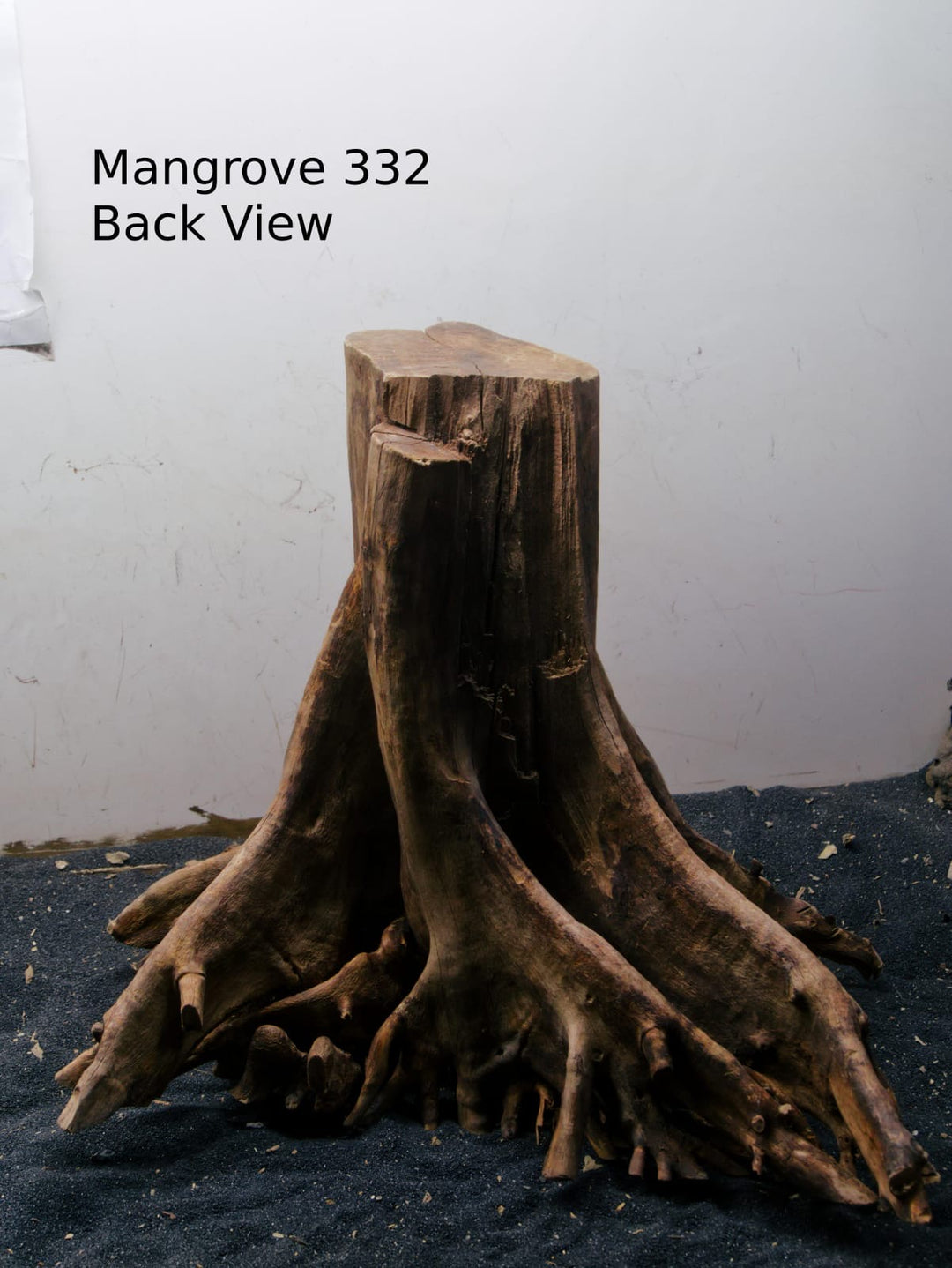 Mangrove Tree Stump 332
