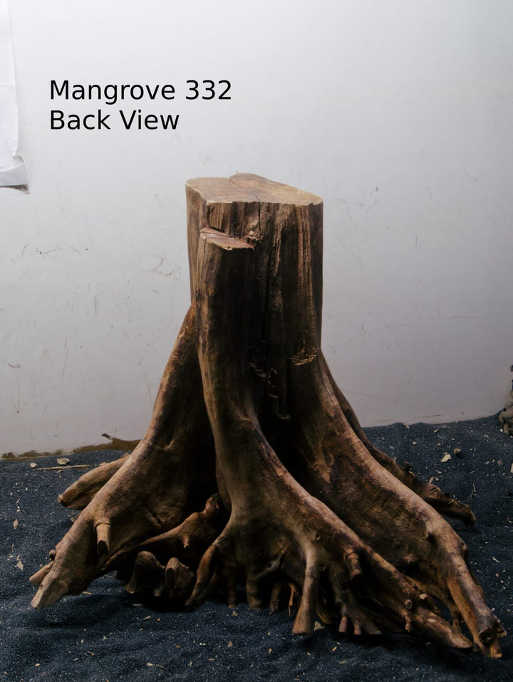 Mangrove Tree Stump 332