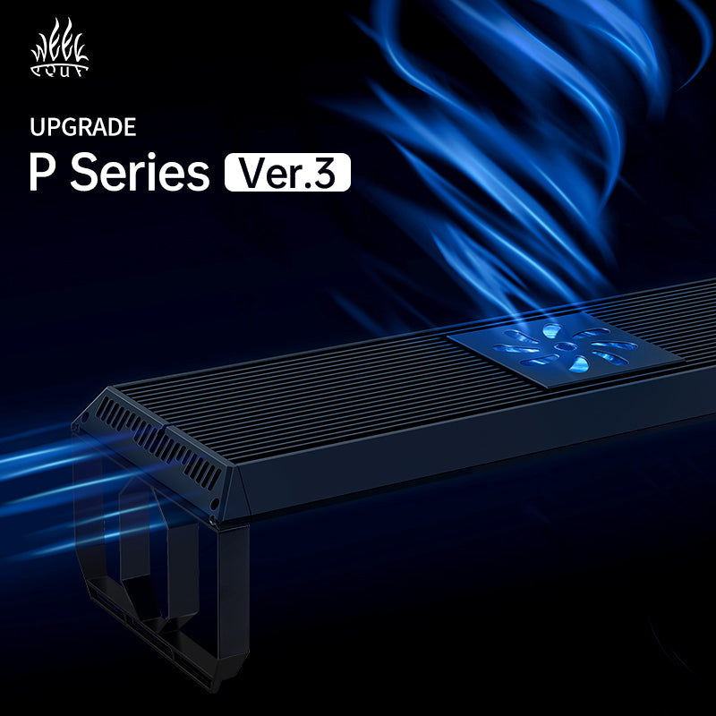 WEEK AQUA P Series Version 3 - Latest Model 2025