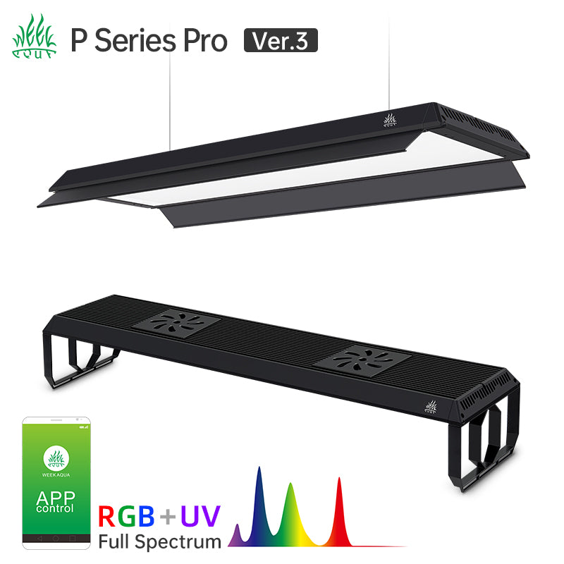 WEEK AQUA P Series Version 3 - Latest Model 2025