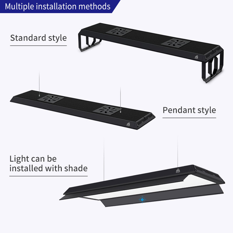 WEEK AQUA P Series Version 3 - Latest Model 2025