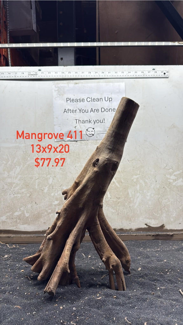 Mangrove Tree Stump 411