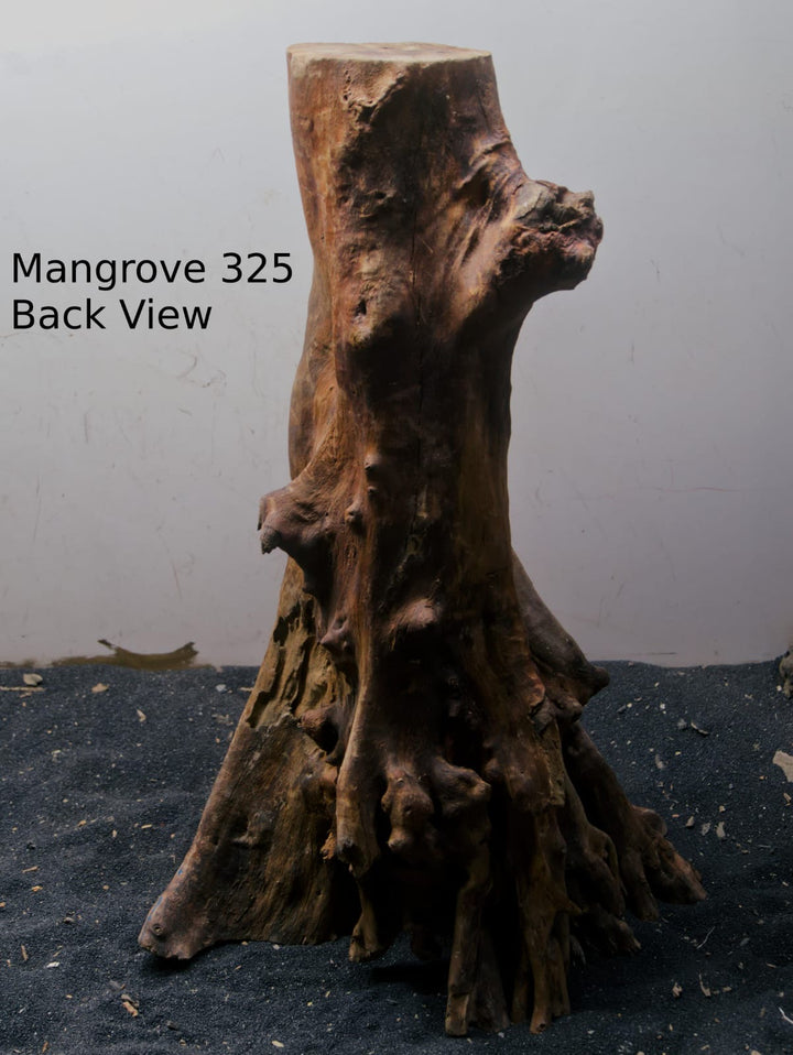 Mangrove Tree Stump 325