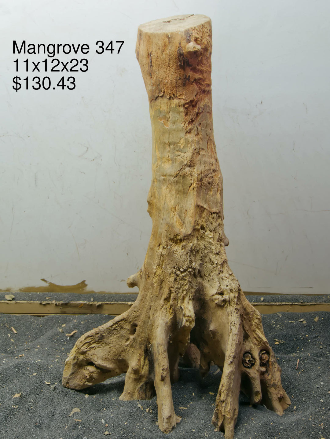 Mangrove Tree Stump 347