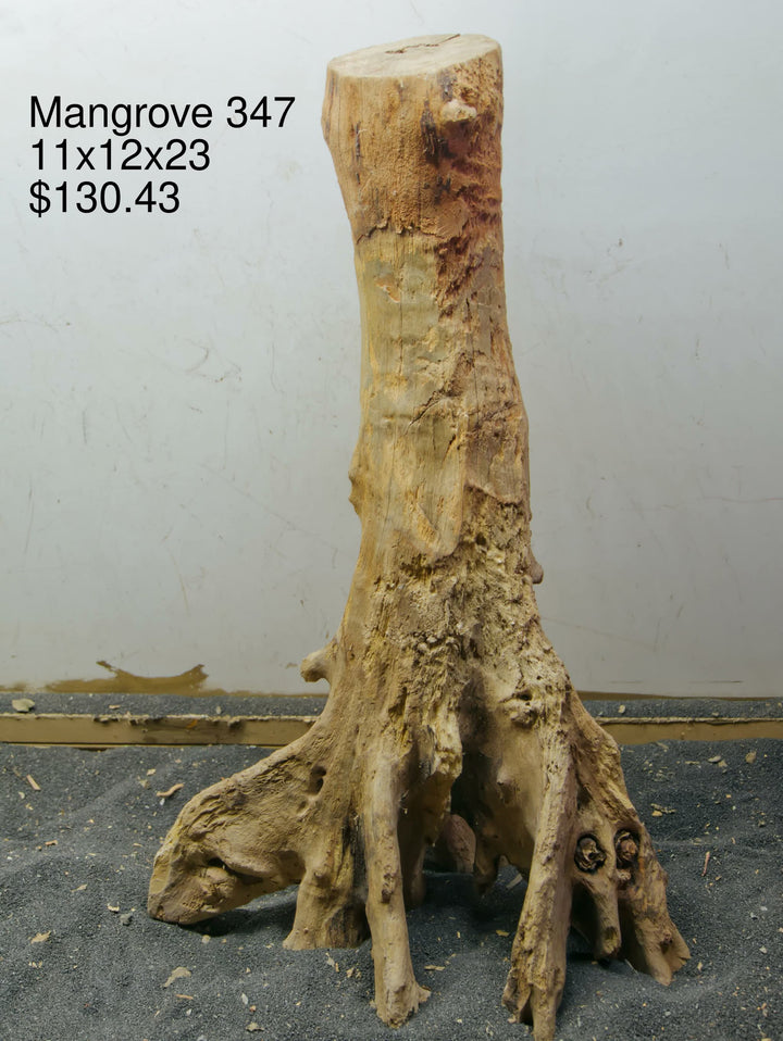 Mangrove Tree Stump 347