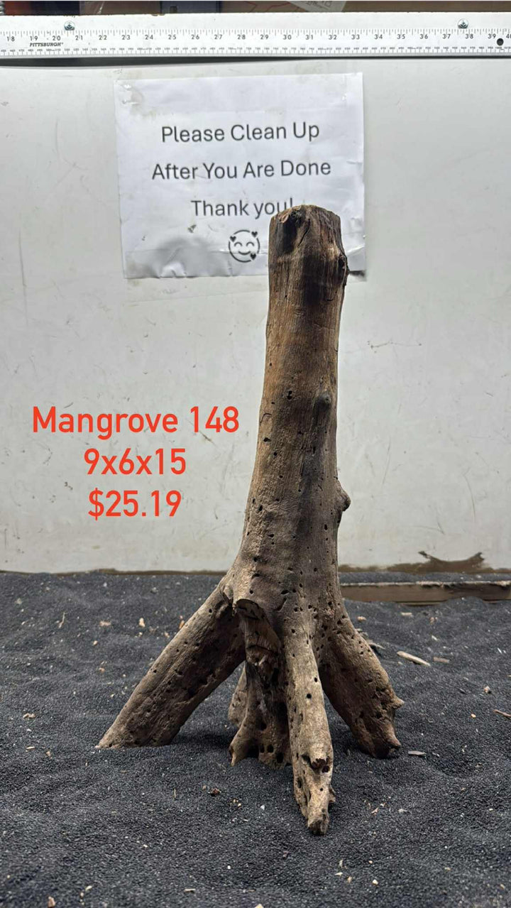 Mangrove Tree Stump 148