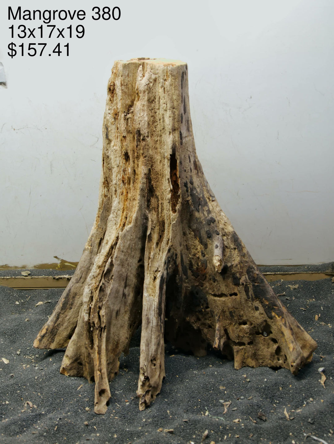 Mangrove Tree Stump 380