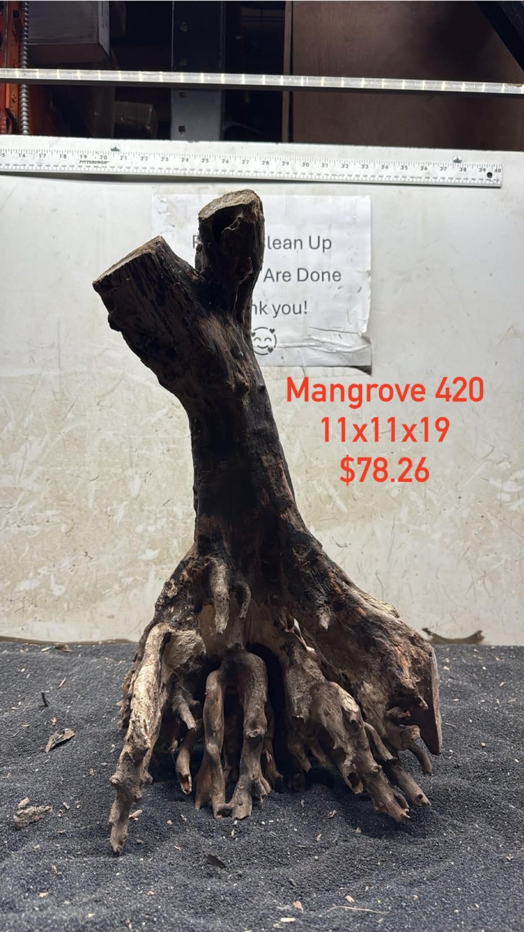 Mangrove Tree Stump 420