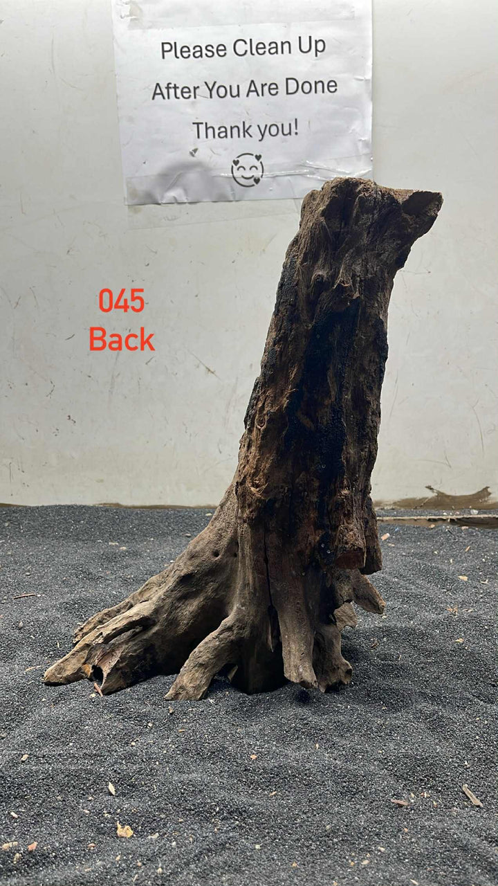 Hardwood Stump 045