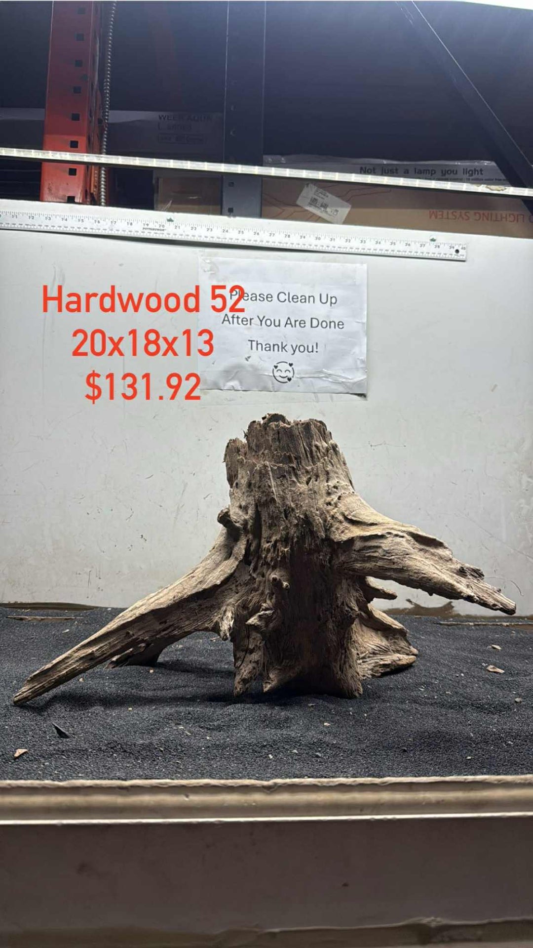 Hardwood Stump 052