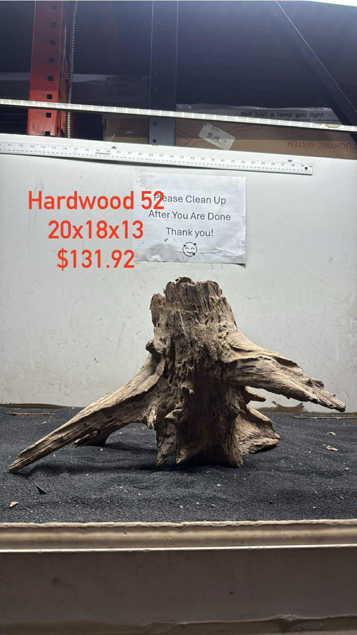Hardwood Stump 052