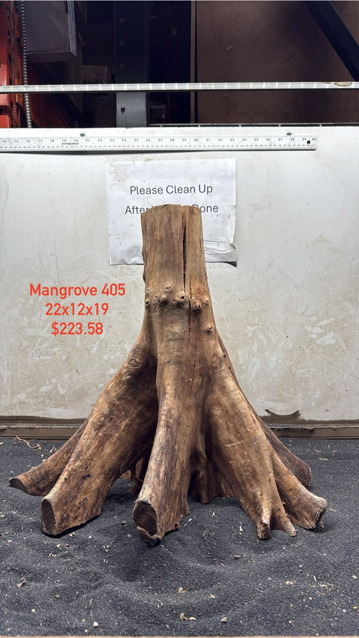 Mangrove Tree Stump 405