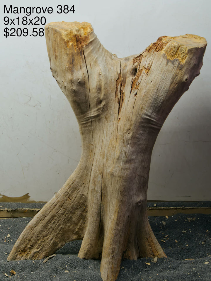 Mangrove Tree Stump 384