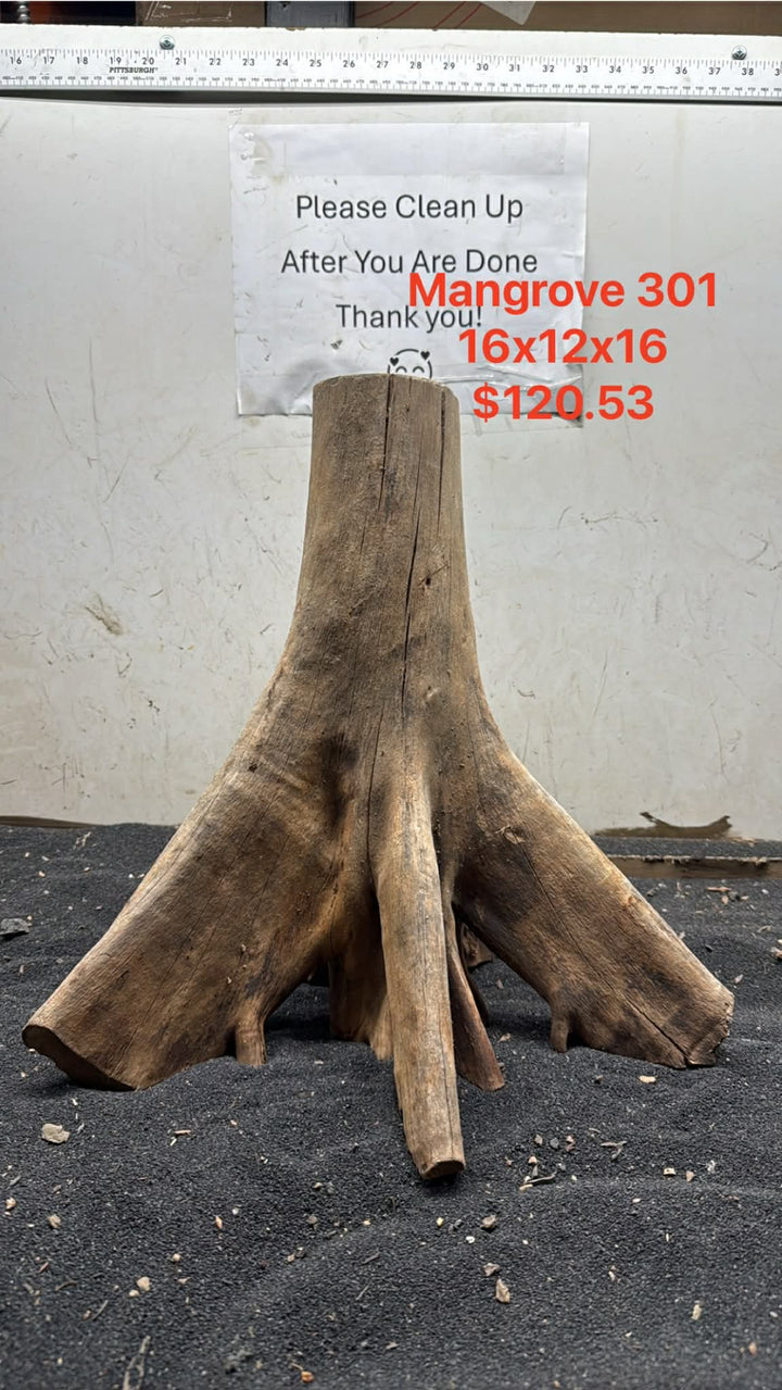 Mangrove Tree Stump 301