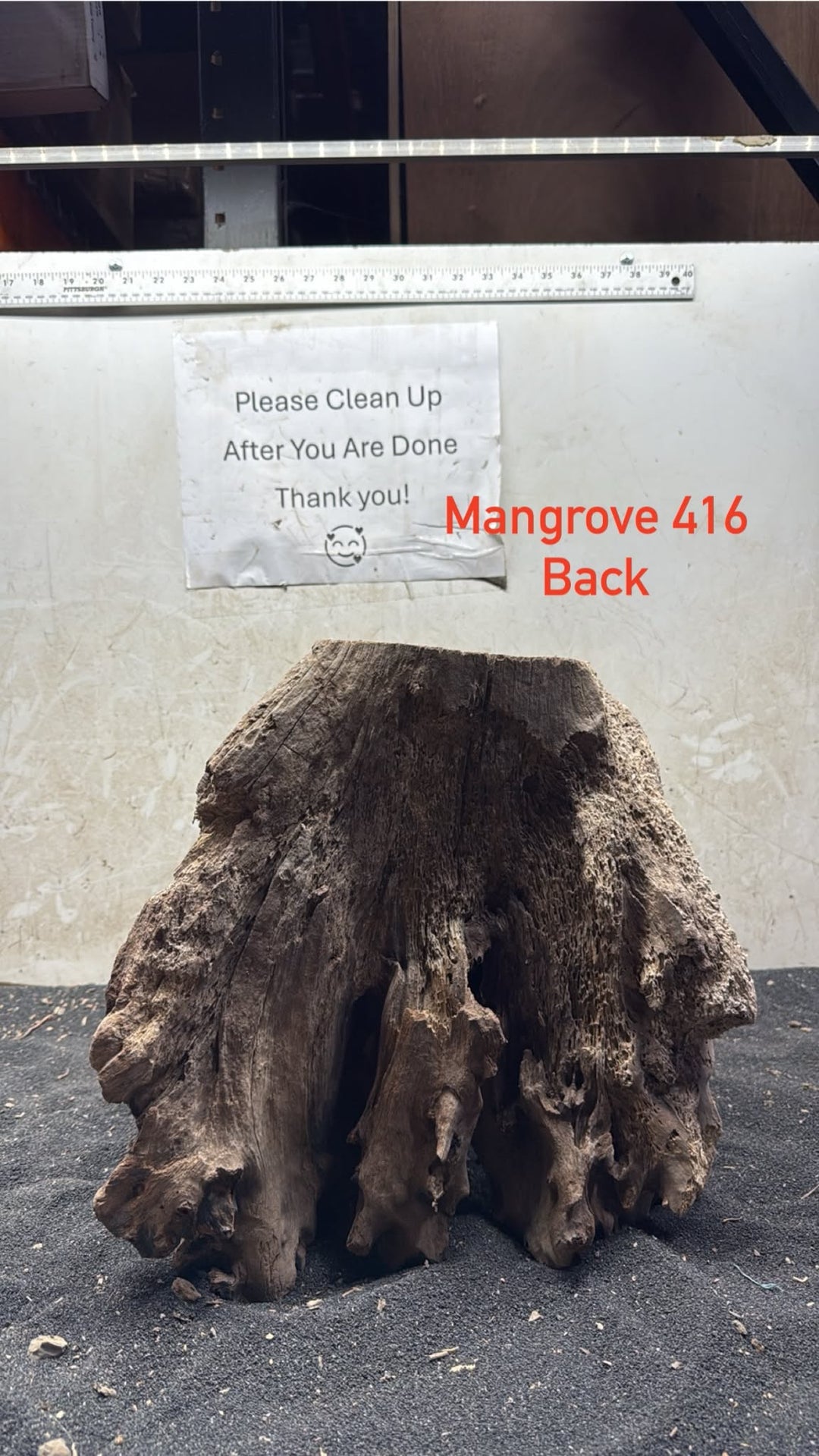 Mangrove Tree Stump 416