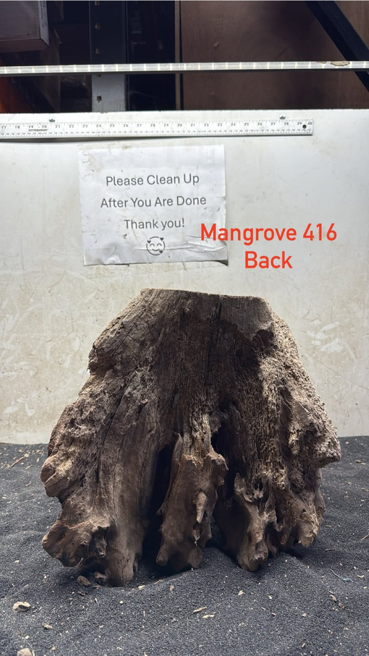 Mangrove Tree Stump 416